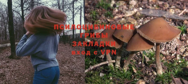 стаф Баксан