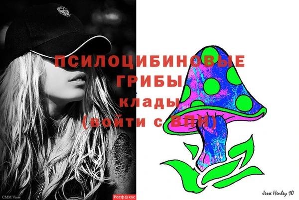 хмурый Долгопрудный