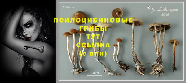 стаф Майский