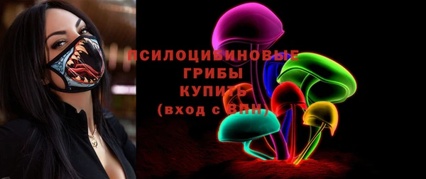 хмурый Долгопрудный
