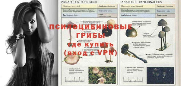 соль ск Магадан