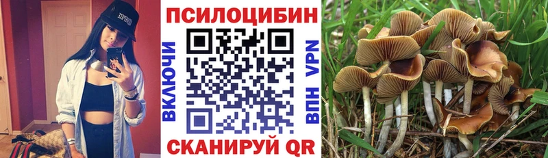 Галлюциногенные грибы Psilocybine cubensis  наркотики  Мостовской 